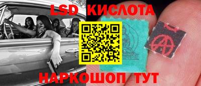 гидропоника Дубна