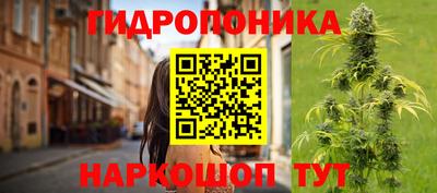 гидропоника Дубна