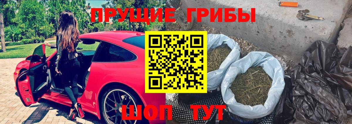 Ефремов  Галлюциногенные грибы Magic Shrooms  Вход с VPN 